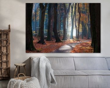 Herbstwald von Thijs Friederich