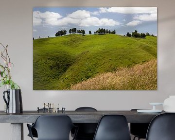 typical landscape in north New Zealand by Markus Gann