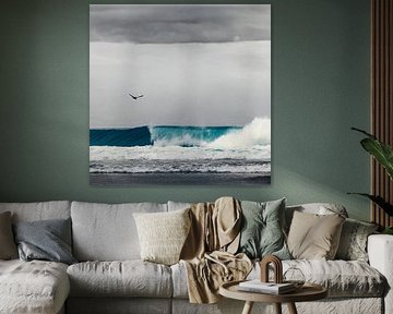 Seagull over breaking wave by Dirk Wüstenhagen