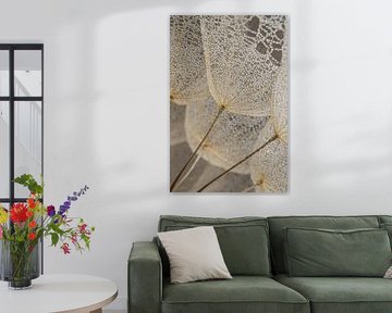 Soft nature: Fluff with water droplets in calm natural shades by Marjolijn van den Berg