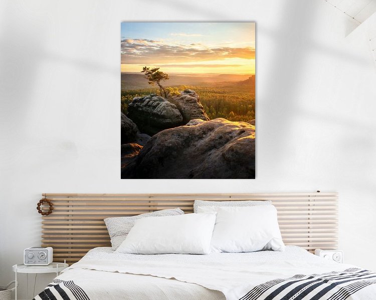 Aperçu de la chambre