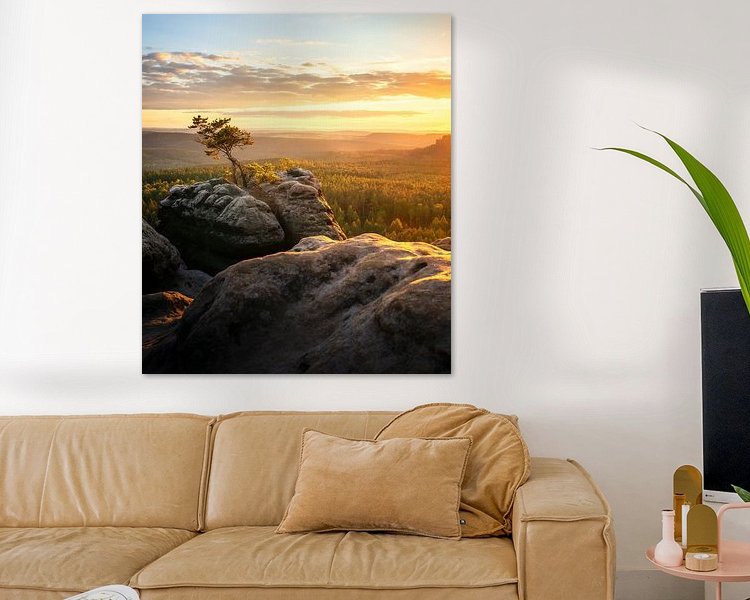 Aperçu de la chambre