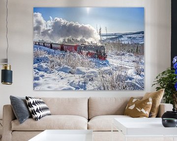 Le chemin de fer du Brocken près de Schierke dans le Haut-Harz