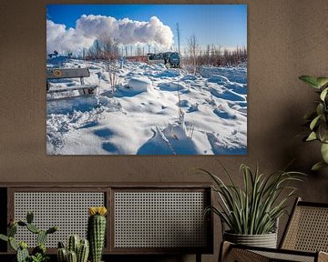 Le chemin de fer du Brocken près de Schierke dans le Haut-Harz