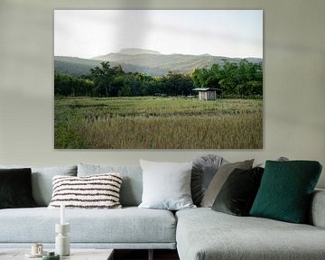 Reisfelder in Thailand von Valerie Visschedijk - Reisfotografie