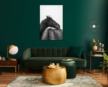 Cuddling horses by Jim Plaum