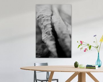 close up dried flower by Julia klijn