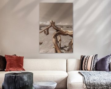 Artwork DeadValley by www.Focus040.nl