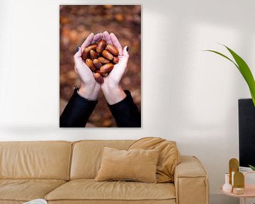 Autumn Acorns by Jim Plaum