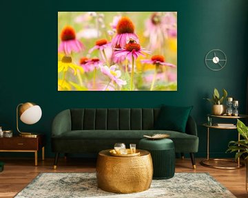 Hummel im Glück - Sommerblumen