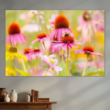 Hummel im Glück - Sommerblumen