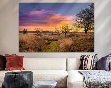 Morgenfarben von snippefotografie