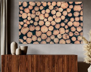 Bois abattu sur Rüdiger Rohmann