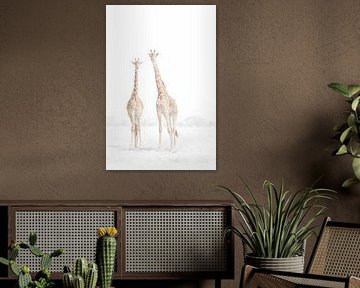 Deux girafes dans la savane silencieuse