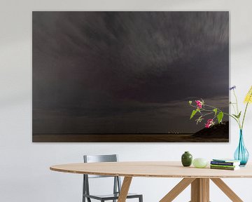 Les aurores boréales sur Texel II sur Anneke Hooijer