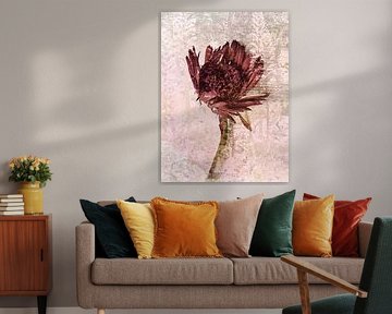 Blüte im Akanthusmeer von A perfect day studio