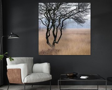 On the Wierden Field I by Anneke Hooijer