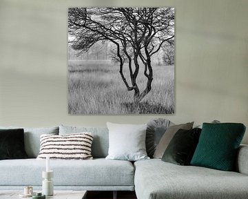 The Wierden Field II by Anneke Hooijer