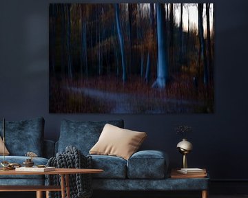 In the beech forest. by Anneke Hooijer