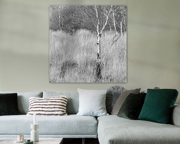 The Wierden Field IV. by Anneke Hooijer