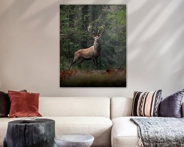 Mighty Red Deer Portrait by Wennekes Photography