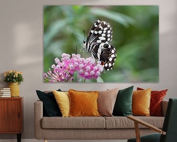 Happy Hour by QEIMOY