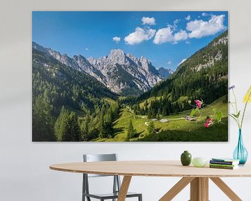 Summer on the Bindalm