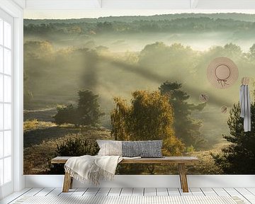 Dawn on Brunssummer Heath by Peter Lambrichs