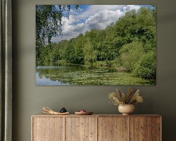 Borner See im Naturschutzgebiet Tantelbruch bei Brüggen