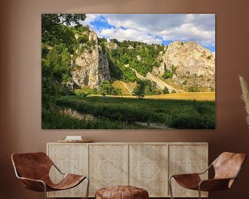 De Donau bij Fridingen met de uitzichtpunten Burgstall en Stiegelesfels - Natuurpark Opper-Donau van BlattArt - Christine Horn