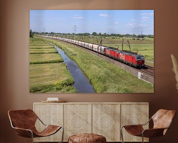 Train de charbon RCC sur la Betuweroute sur Harold de Groot