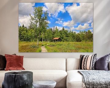 Paysage de roselière avec une ancienne cabane de tourbiers dans la réserve naturelle du Wurzacher Ried sur BlattArt - Christine Horn