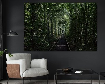 Tunnel de l'amour sur Harold de Groot