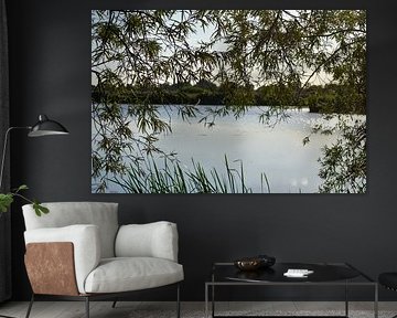 La plaine inondable de l'IJssel depuis Zwolle sur Carmen Nijenhuis