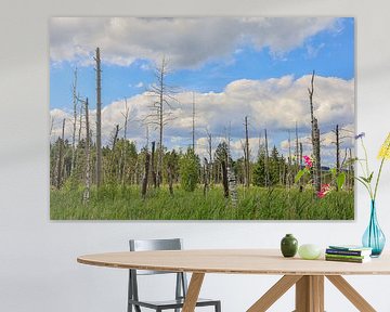 Ried avec bois mort dans le Wurzacher Ried - district de Ravensburg sur BlattArt - Christine Horn