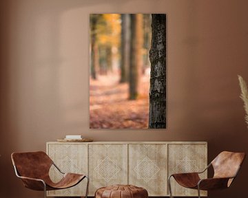 Arbre d'automne sur Jim Plaum