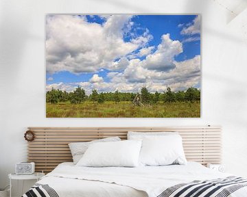 Rietlandschap met dennen en dood hout in het Wurzacher Ried - district Ravensburg van BlattArt - Christine Horn