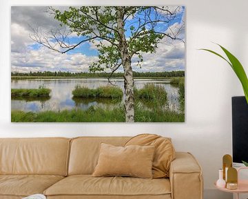 Riedsee shoreline landscape with birch in Wurzacher Ried - District of Ravensburg by BlattArt - Christine Horn