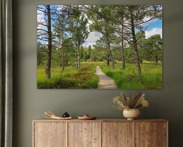 On boardwalks through the Wurzacher Ried - Landkreis Ravensburg by BlattArt - Christine Horn