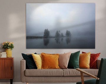 Zwanen op de Schwackenreuter meren bij Mühlingen op een mistige ochtend in september van BlattArt - Christine Horn