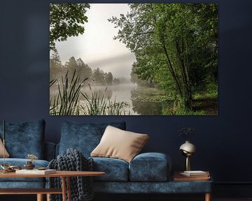 Mistresten boven de Schwackenreuter meren bij Mühlingen - Baden-Württemberg van BlattArt - Christine Horn