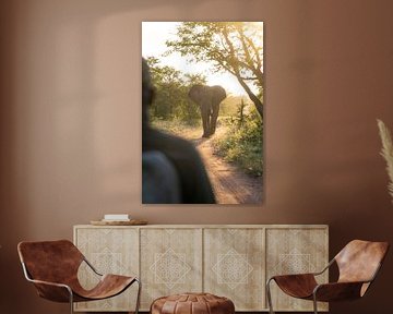 Meeting an elephant in Timbavati, South Africa by Teun Janssen