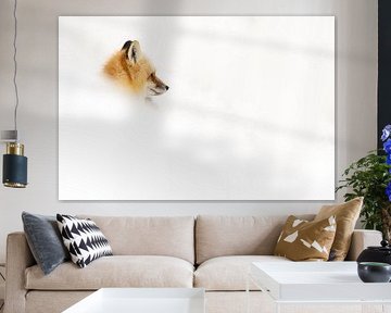 Fuchs im Schnee von Bianca Blonk