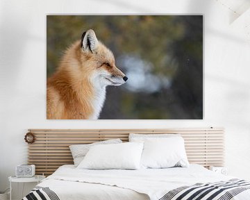 Zen-Fuchs von Bianca Blonk