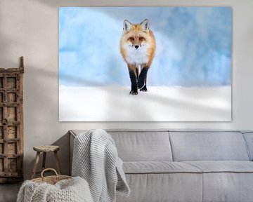 Fuchs im Schnee von Bianca Blonk