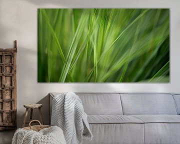 grasgroen van fantasina