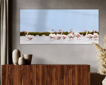 Flamingos in the Camargue by Dirk Rüter