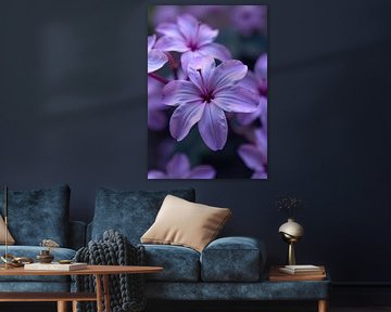 Nahaufnahme einer *Rhodohypoxis*-Blüte von Markus Gann