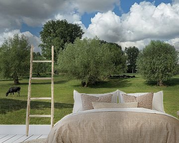 Landschaft in den Rheinauen am Niederrhein