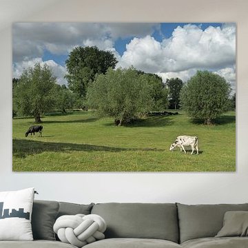 Paysage dans les plaines alluviales du Rhin inférieur